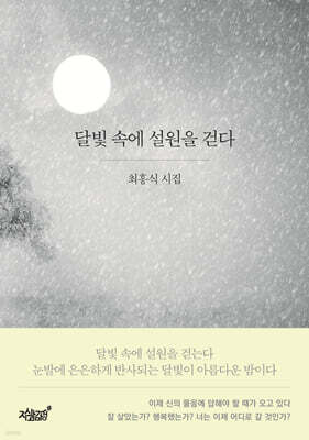 달빛 속에 설원을 걷다