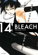 블리치 리믹스 14