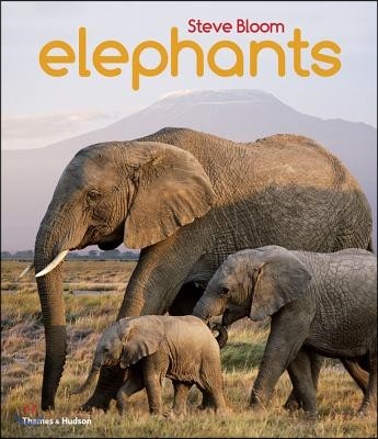 Elephants: A Book for Children