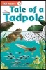 Tale of a Tadpole