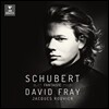 David Fray 슈베르트: 환상곡, 피아노 소나타 '환상', 헝가리 선율 - 다비드 프라이 (Schubert: Fantaisie D940, Piano Sonata D894 'Fantasie', Hungarian Melody D817)
