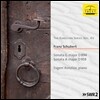 Evgeni Koroliov 에브게니 코롤리오프 - 슈베르트: 피아노 소나타 (Schubert: Piano Sonatas D.894, D959)