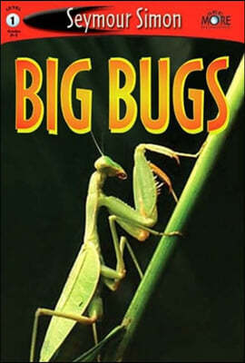 Big Bugs