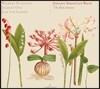 Wilbert Hazelzet 바흐: 플루트 소나타집 (Bach: The Flute Sonatas BWV1030-1035, BWV1021, BWV1020)