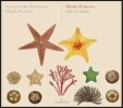 Herve Niquet 퍼셀: 디도와 아에네아스 (Purcell: Dido and Aeneas)