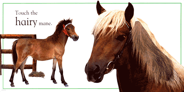 (Touch and Feel) Ponies