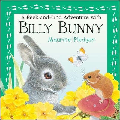 Peek-and-find Adventure With Billy Bunny