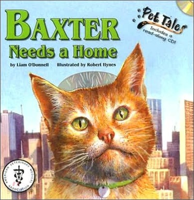 Baxter Needs a Home