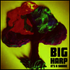 Big Harp - It's A Shame (7inch Single LP)