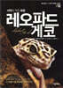 사막의 작은 표범 레오파드 게코