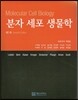분자 세포 생물학