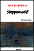 Steppenwolf - 영어로 읽는 세계문학 367