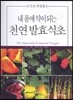 내 몸에 약이 되는 천연 발효식초