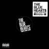 더 블루 하츠 트리뷰트 앨범 (The Blue Hearts Tribute Hip Hop Album) [클리어 컬러 LP]