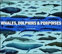 Whales, Dolphins and Porpoises