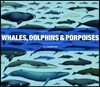 Whales, Dolphins and Porpoises