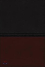 The Macarthur Study Bible