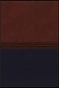 The Macarthur Study Bible