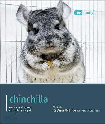 Chinchilla.