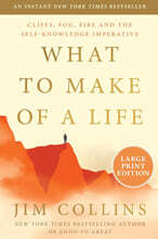 What to Make of a Life: Cliffs, Fog, Fire and the Self-Knowledge Imperative