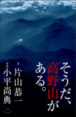 そうだ,高野山がある。