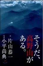 そうだ,高野山がある。