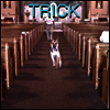 Alex G - Trick (Digipack)(CD)