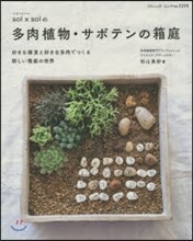 多肉植物.サボテンの箱庭