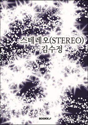 스테레오(STEREO)