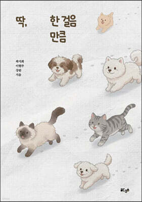 딱, 한 걸음 만큼