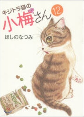 キジトラ猫の小梅さん  12