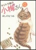 キジトラ猫の小梅さん  12