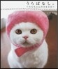 うらばなし。~うらちゃんの365日~
