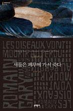 새들은 페루에 가서 죽다