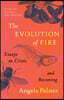 The Evolution of Fire
