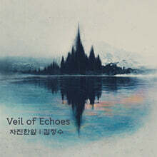 김정수 - Veil of Echoes(자진한잎)