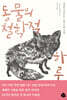 동물의 철학적 하루