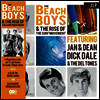 Beach Boys - The Beach Boys And The Rise Of The Surf Movement (Box Set)(MP3 Download)(2LP+CD)
