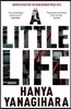 Little Life