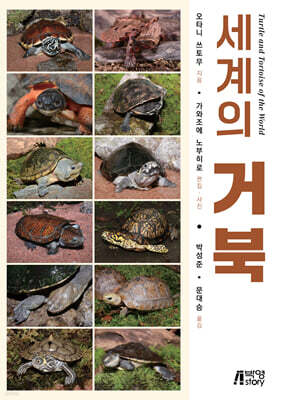 세계의 거북