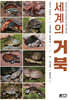세계의 거북