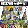 [공룡카드증정] 지구별자연동화 (전20권)/ 영유아첫자연동화 / 실사자연관찰 / 실사자연동화 / 자연동화전집 / 세이펜자연동화