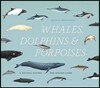 Whales, Dolphins & Porpoises: A Natural History and Species Guide
