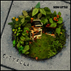 Son Little - Cityfolk (LP)