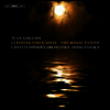 시벨리우스: 레민카이넨 모음곡 Op.22 (Sibelius: Lemminkainen Suite & The Wood-Nymph) (SACD Hybrid) - Osmo Vanska