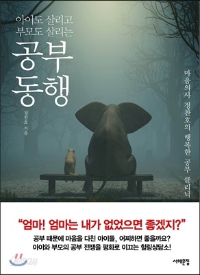 공부 동행