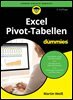 Excel Pivot-Tabellen fur Dummies