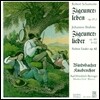 Windsbacher Knabenchor 슈만: 집시 생활 / 브람스: 집시의 노래 (Schumann: Zigeunerleben / Brahms: Zigeunerlieder)