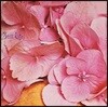 Still Life - Still Life [LP]