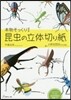 本物そっくり!昆蟲の立體切り紙